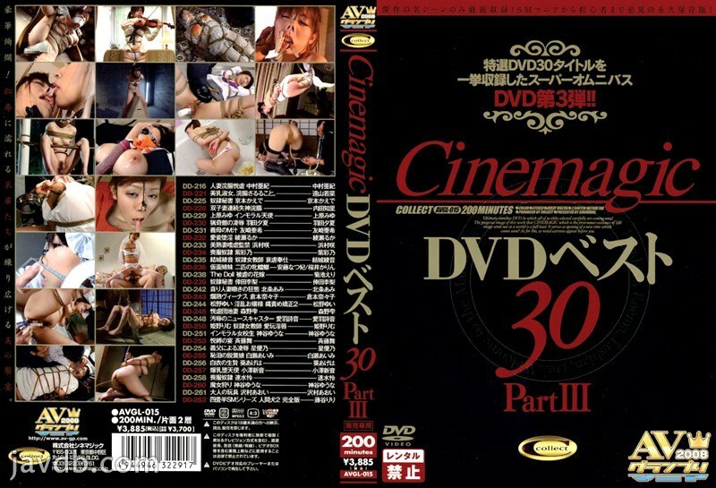 AVGL-015 Cinemagic DVD Best 30 PART.3 - 菊池エリ