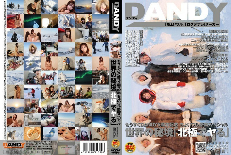 DANDY-237