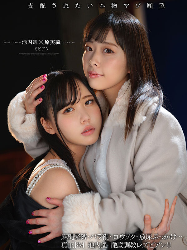 BBAN-533