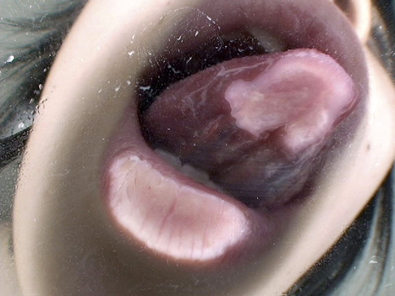 C-2186