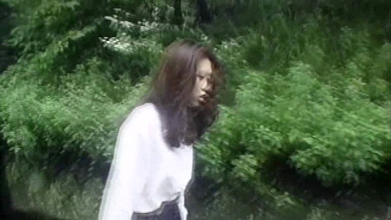 CHV-034