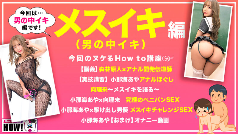 HOWS-012
