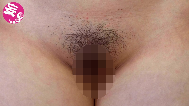 KBMS-006