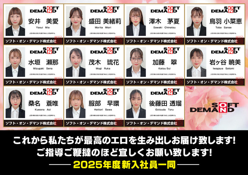 SDJS-311